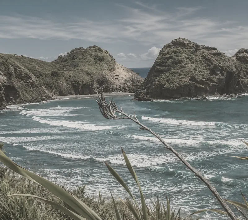 Piha beach on the west coast of Auckland